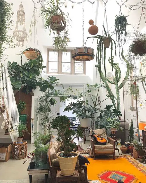 A Bohemian Drawing Room with a High Ceiling