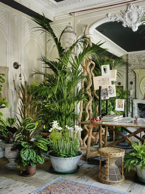 A Tropical Room