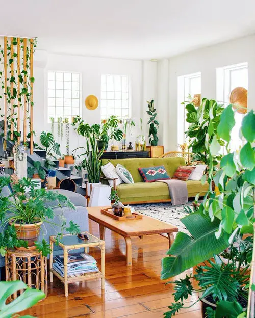 Colors All Around with Plants!