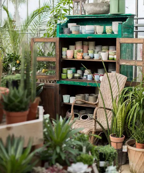 A Quiet Green Corner
