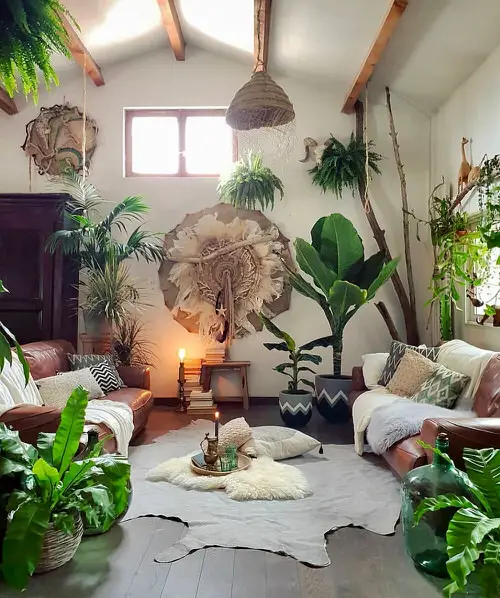 Rustic Room with Plants