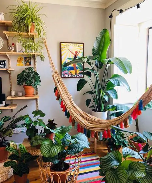 Hammock and Plants for that Beachy Vibe