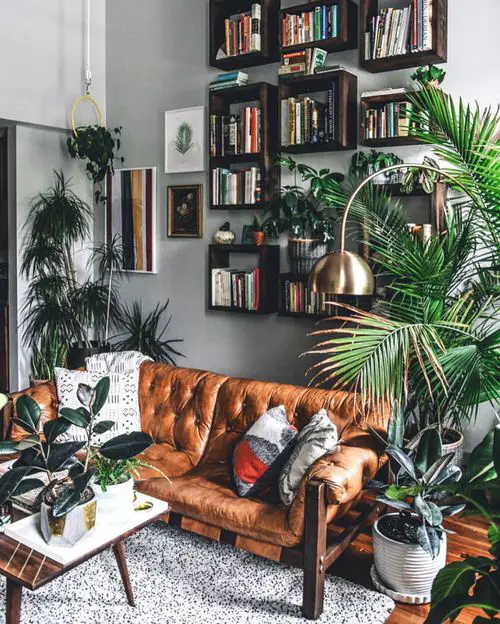 Hanging Book Shelf and Plants