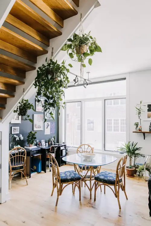 Hanging Pothos Baskets above the Dining Table