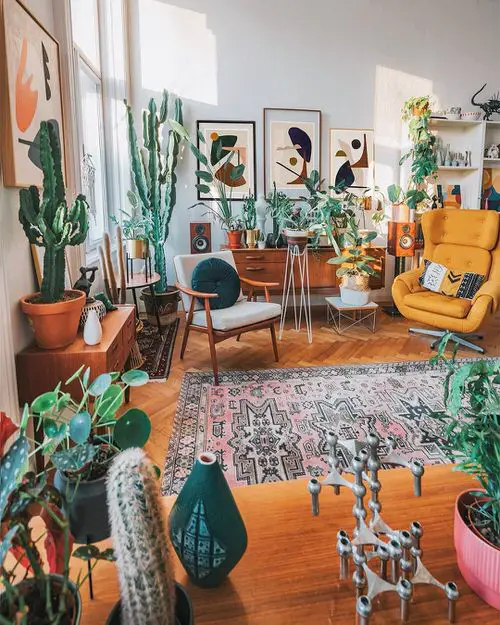 Colors and Cactus