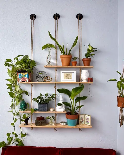 Hanging Plant Shelves