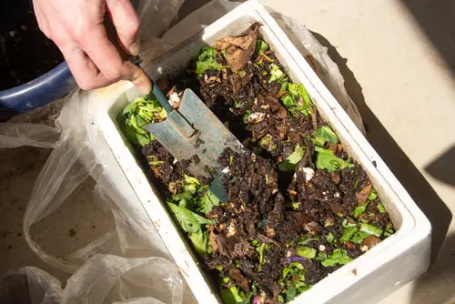 Best Homemade Seed Starting Mix Recipes 3