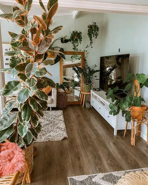 Great Ideas to Display Houseplants