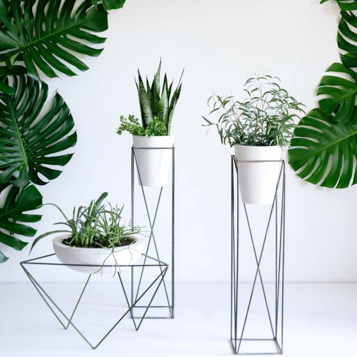 99 Great Ideas to display Houseplants Indoor  Plants  