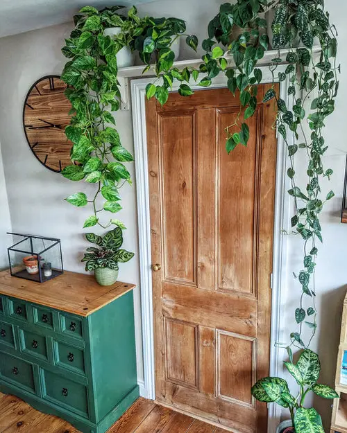 display idea Cascading Ivy above the Front Door