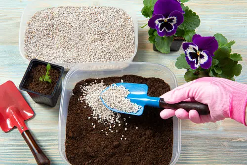 Homemade Seed Starting Mix Recipes 2