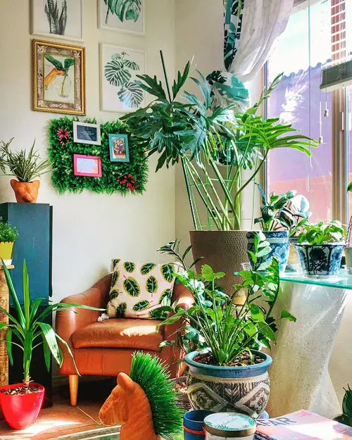 Swiss Cheese and Other Potted Plants on the Windowsill