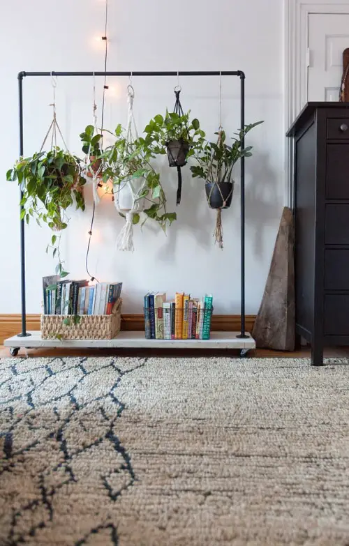 top Great Ideas to Display Houseplants