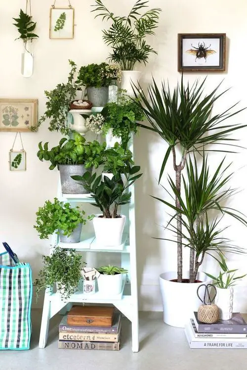 top A Freestanding Plant Ladder