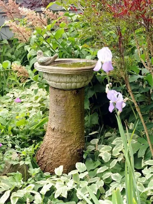 Add a large stone birdbath to the stump