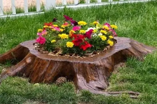 old tree stump into a gorgeous tree stump planter.