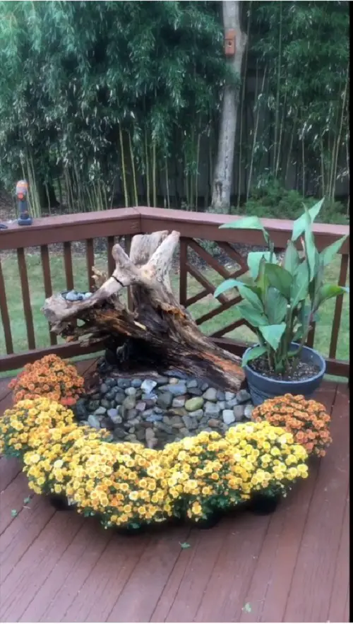 Here is an Amazing Tree Stump Idea for the Garden to turn the stump