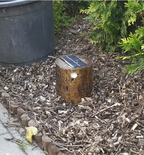 Solar Lamp from Tree Stump
