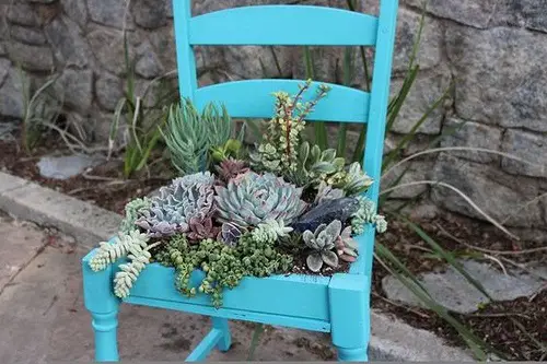 An Antique Succulent Chair Planter