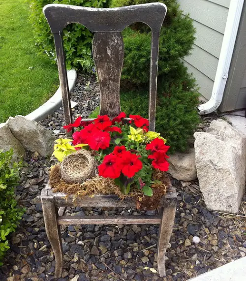 Beautiful Red Flower Nest in a Chair Planter