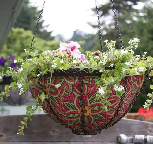 Hanging Baskets with Fragrant Flowers in balcony 