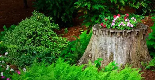 Pink and Red Flowers on a Stump 