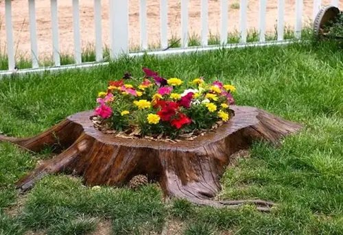 Polished Tree Stump Flower Planter