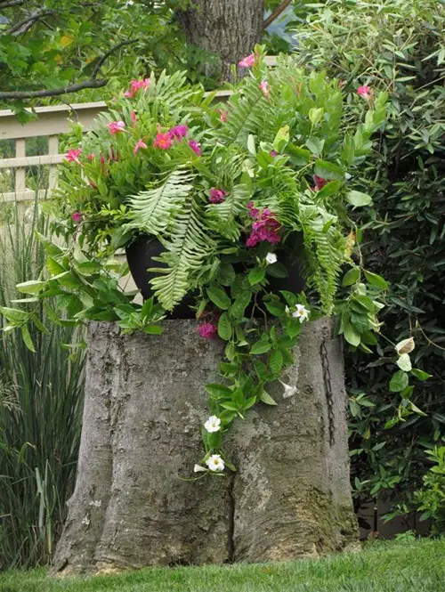Pots on a Stump Idea