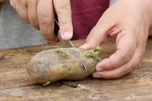 Propagating Potatoes