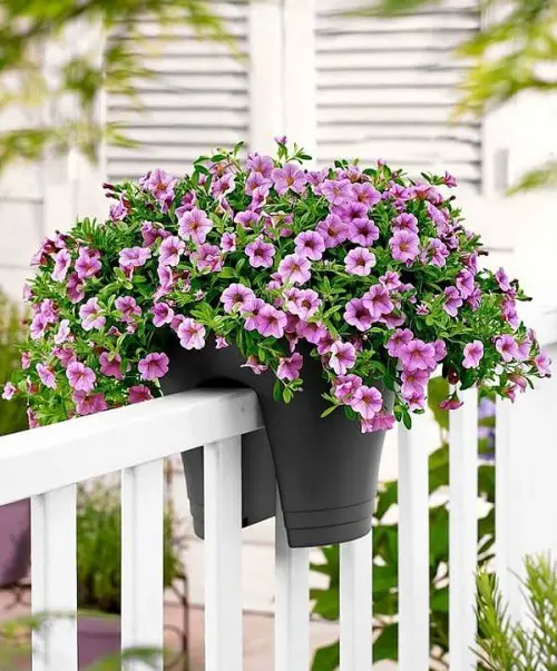 Balcony Decorating Ideas Railing Planter to Save Space