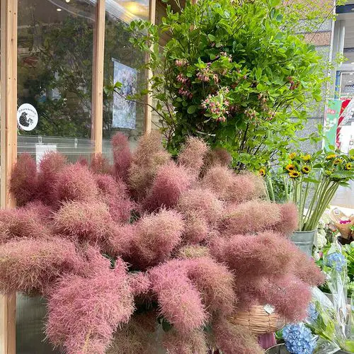 Year Round Shrubs According to Season 6