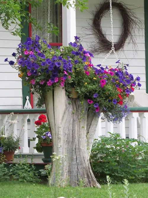 Tree Stump Flower Idea with Petunias Planter Ideas that'll Impress You