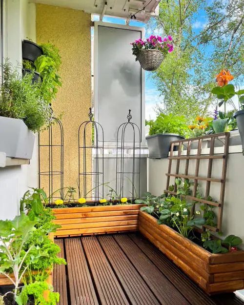 Grow Veggies on the Balcony