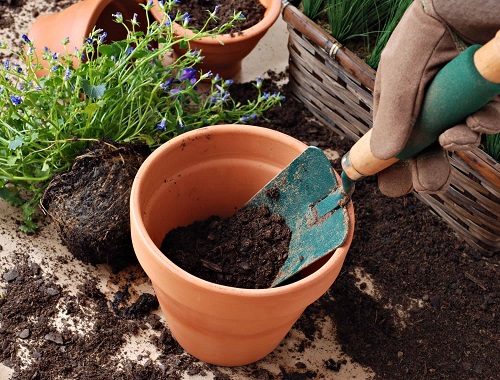  Balcony Gardening Tips Get High-Quality Potting Mix