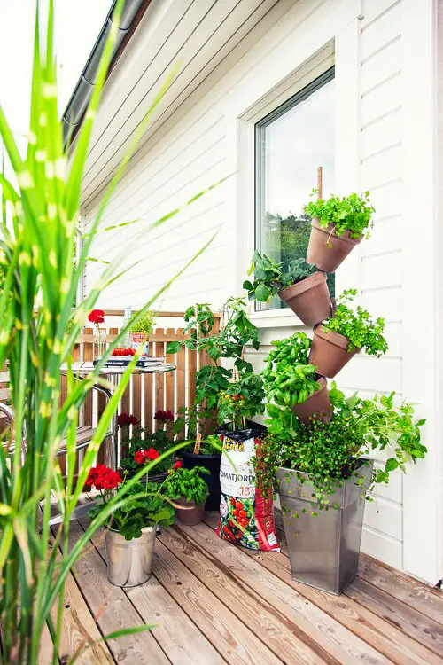  Balcony Gardening Tips Make the Most of the Available Space