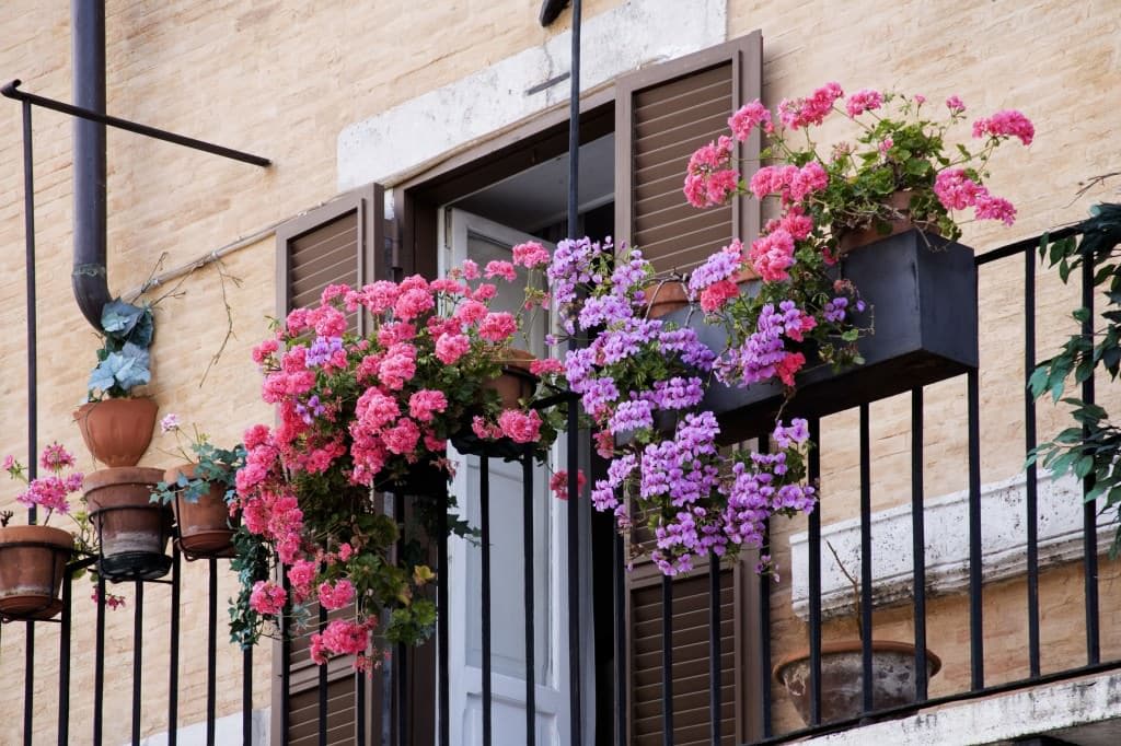 11 Small Apartment Balcony Ideas with Pictures | Balcony Garden Web