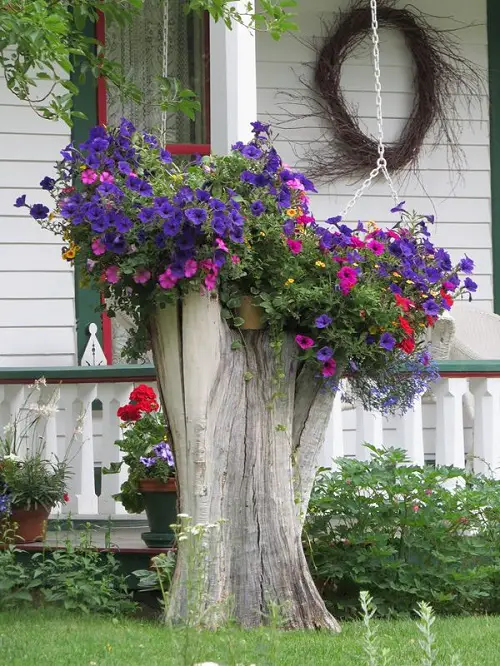 Tree Stump Ideas for the Garden