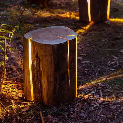 Illuminated Tree Stump