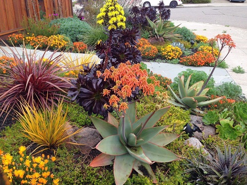 Group Plants According to their Requirements