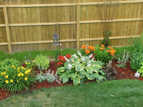 Opt for Perennials