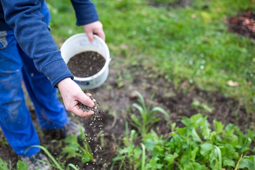 Use Slow Release Fertilizers