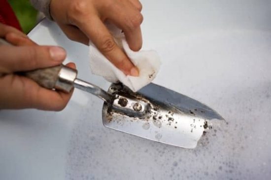 Amazing Vinegar Uses in Gardens and Homes 52