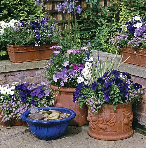 container garden design tips Conceal the Unattractive Elements