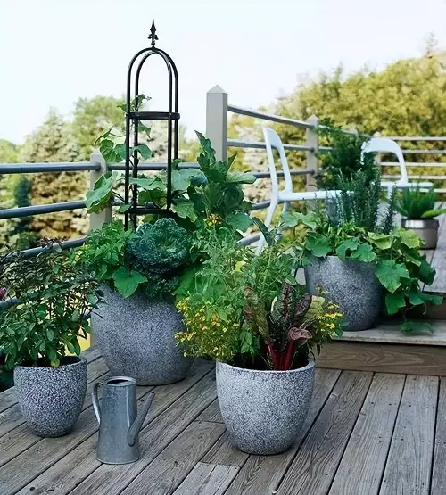 container garden design tips Enhance Beauty and Utility with Edible Plants