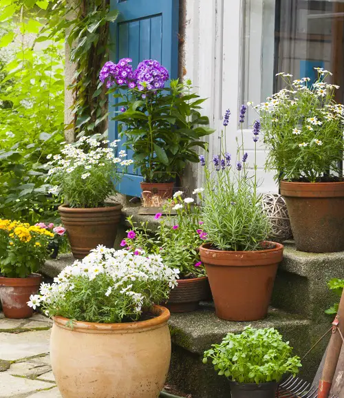 container garden design tips Group Plants by Watering Needs