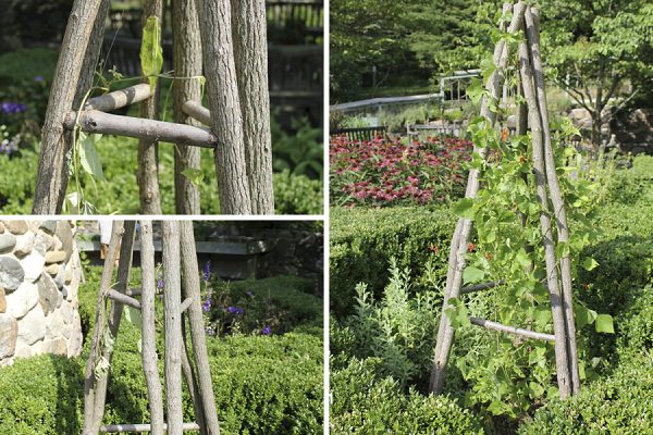 17 Best Upcycled Trellis Ideas For Garden Cool Trellis 