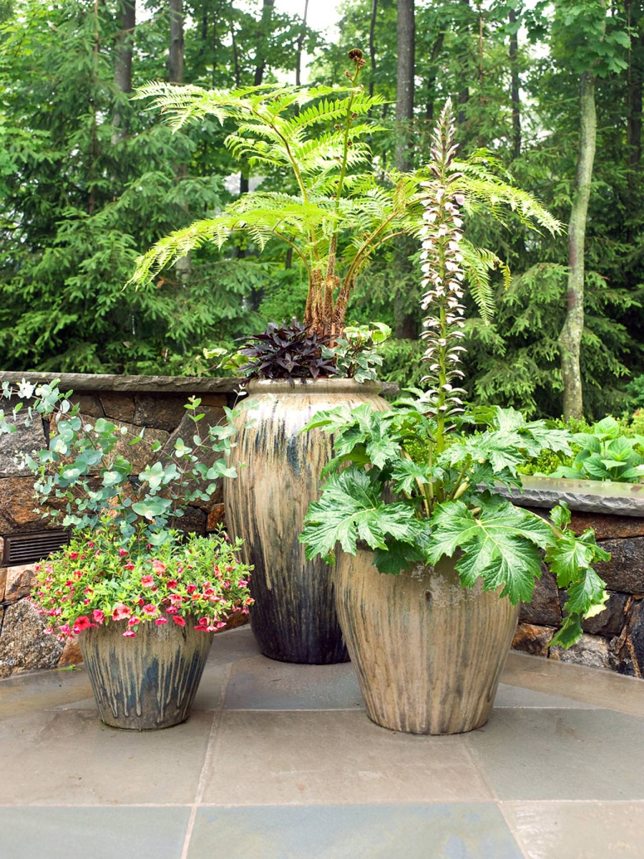 11 Most Essential Container Garden Design Tips | Designing 