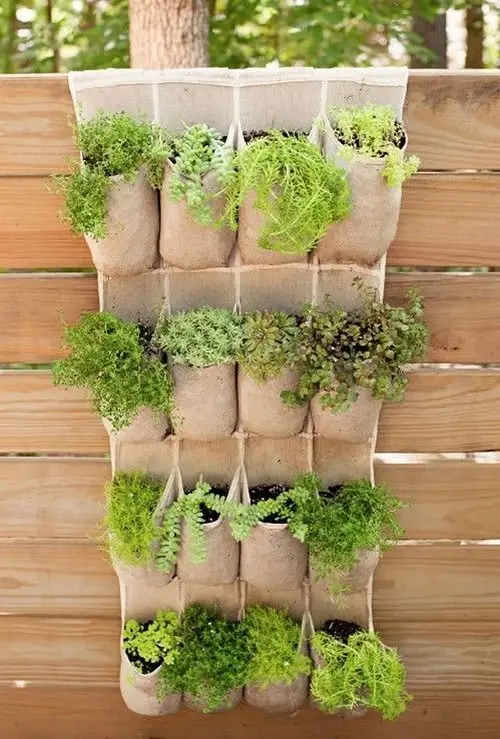 Shoe Organizer Turned into Vertical Garden