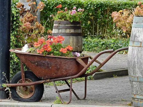 Wheelbarrow Planter