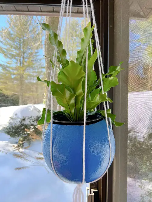 Basketball Planter garden